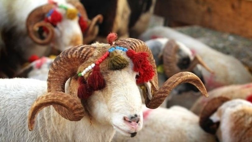 Kurban Bayramınızı kutlarız.
